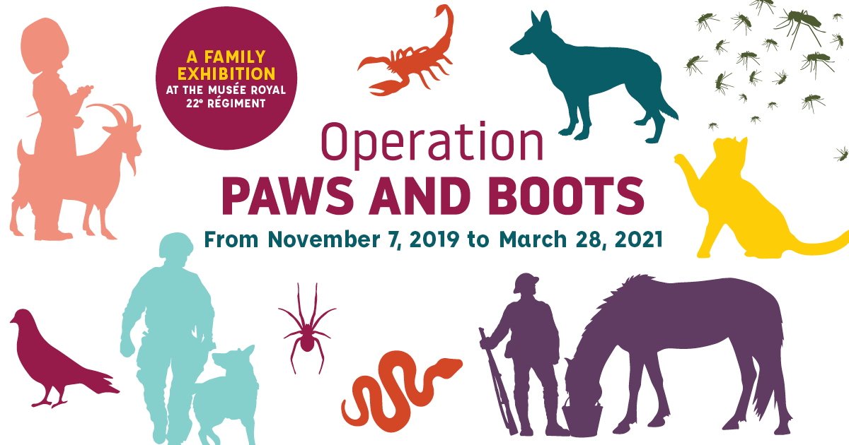 paws and boots